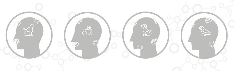 Animal-assisted therapy: is there OT beauty in the beast?